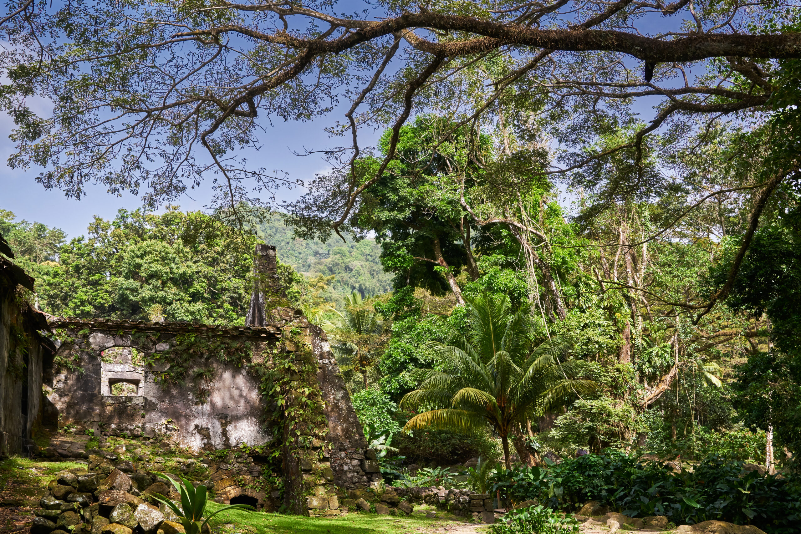 nord-caraibe-martinique-habitation-ceron-jardin