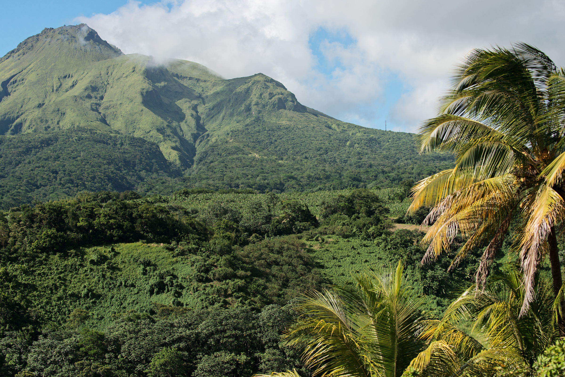 nord-caraibe-martinique-montagne-pelee-antilles